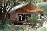 One of the tents at Elephant Bedroom