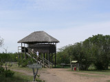 Jane Goodall sanctuary - You can watch the chimpanzees from this tower if you like