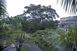 View from the common balcony outside our room