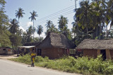 Rural houses