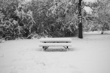 Picnic in the snow