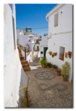 Calle de Frigiliana  -  Street in Frigiliana