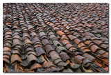 Techo de tejas mojado  -  Wet tile roof