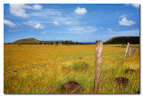 APV0420 El campo en Rapa Nui.jpg