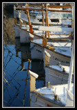 Barcas de pesca  -  Fishing boats