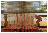 Tejedora manual  -  Hand weaver