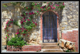Puerta con rosas  -  Door with roses
