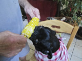 Ms. Bailey sure does like corn-on-the-cob!