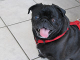 Im ready for my walk now...