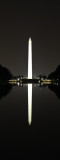 The Washington Monument