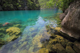 Kayangan Lake Coron Palawan Philippines.jpg