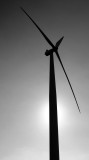 Bangui Windmill.jpg