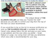 Cesars Illusion collar.jpg