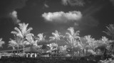 Infrared on the coast