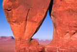 Tear Drop Arch