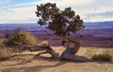 Green River Overlook