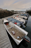 20090523 - Deer Isle - 008.jpg