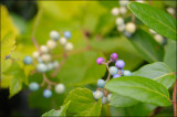 20100924 - Cape Cod Weekend - 043.jpg
