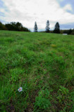 20101008 - Maine Weekend - 016.jpg