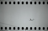 Holga (2009/05)