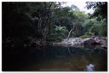 Shing Mun Reservoir  - 城門水塘