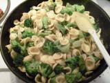 BroccoliOrichette.jpg