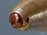 IMG_1601-1000x750.jpg