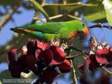 RMOraw-IMG_9842-01.jpg