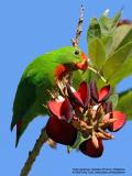 IMG_9840-800x600.jpg