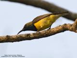 IMG_8642-800x600.jpg