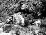 E-30-GrainyFilm