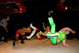 IMG_1563.jpg