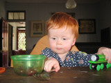 IMG_2469.jpg