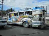 IMG_2338.jpg
