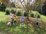 IMG_3231.jpg