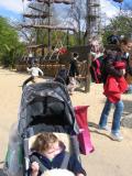IMG_1744_58_1.JPG