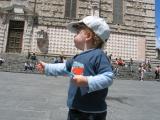IMG_2636_65_1.JPG