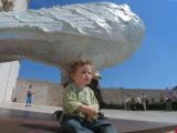 IMG_2893_95_1.JPG