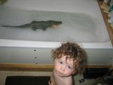 IMG_3334_5_1.JPG