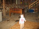 IMG_3849_6_1.JPG