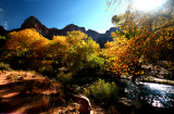 Zion-Parus trail