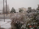 Snow in Amman 30.01.2008 002.jpg