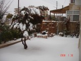 Snow in Amman 30.01.2008 013.jpg