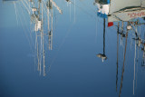 Bay