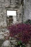 Temple of the Descending God, Tulum