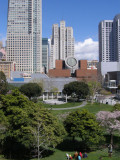 Yerba Buena