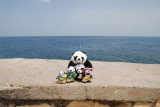 The Pandafords on Negril Cliffs