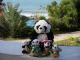 The Pandafords at the Treasure Beach Hotel