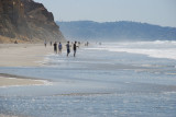 Torrey Pines State Beach