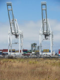 Big Oakland Cranes